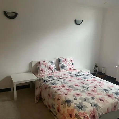 Chambre Forest 1er Drt